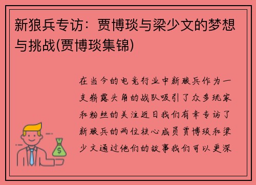 新狼兵专访：贾博琰与梁少文的梦想与挑战(贾博琰集锦)