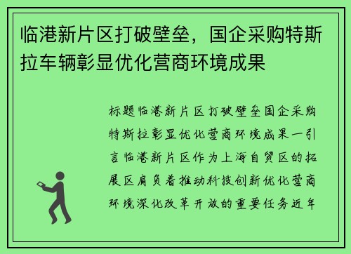 临港新片区打破壁垒，国企采购特斯拉车辆彰显优化营商环境成果