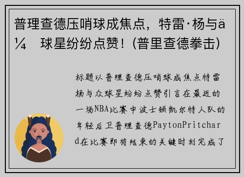 普理查德压哨球成焦点，特雷·杨与众球星纷纷点赞！(普里查德拳击)