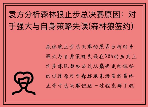 袁方分析森林狼止步总决赛原因：对手强大与自身策略失误(森林狼签约)