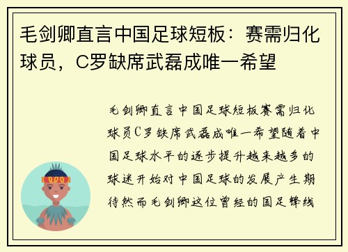 毛剑卿直言中国足球短板：赛需归化球员，C罗缺席武磊成唯一希望